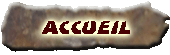 RETOUR ACCUEIL