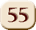 DIS 55