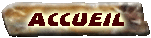 Accueil