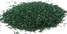 Spiruline