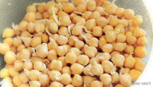 Pois chiches