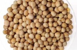 Pois entiers