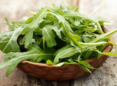 Roquette