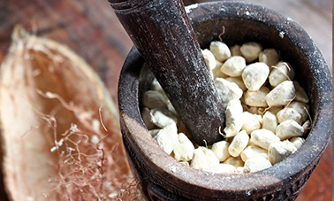Fruit du baobab rduit en poudre
