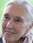 Jane Goodall